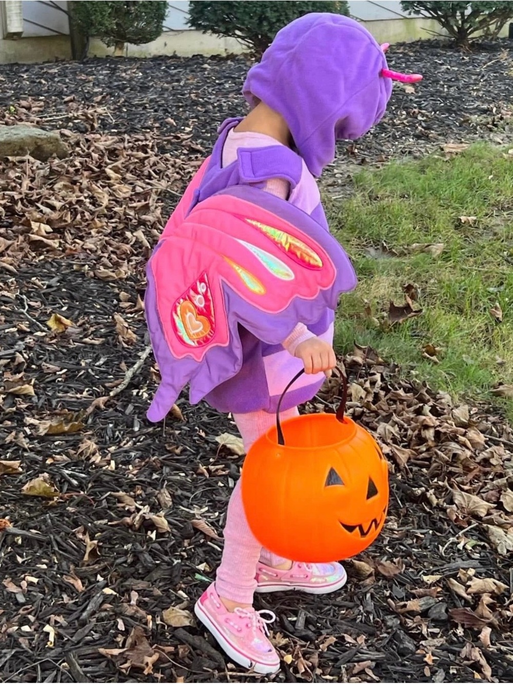Purple & Pink Butterfly Kids Costume Hooded Cape 4T
